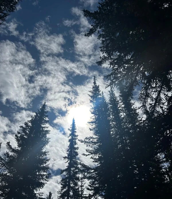 Psyrenity counselling : Healing begins here.